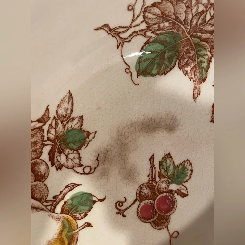 Vintage Harmony House “Fruit Arbor” Serving Bowl – Japan (10”)